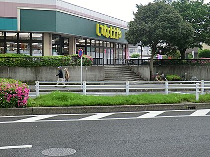 いなげや千葉桜木店 300m