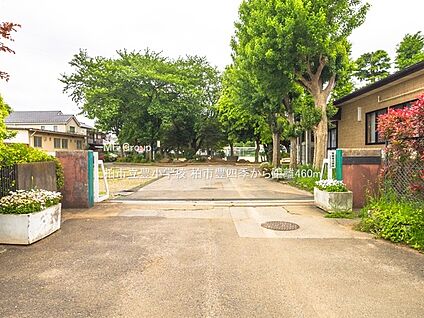 柏市立豊小学校 460m