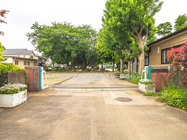 柏市立豊小学校(約460m)