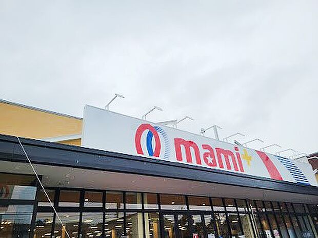 マミープラス 柏若葉町店(約700m)