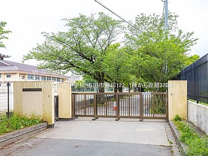 市川市立第一中学校 3200m