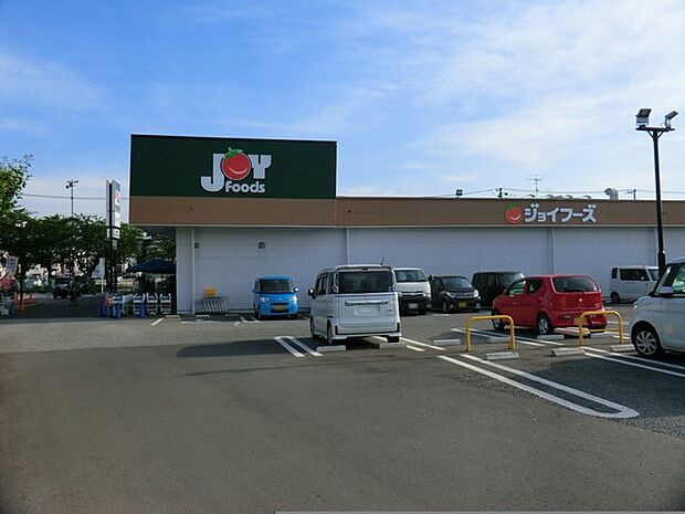ジョイフーズ高柳店(約1,100m)