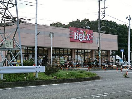 ベルクス柏つくしが丘店 600m