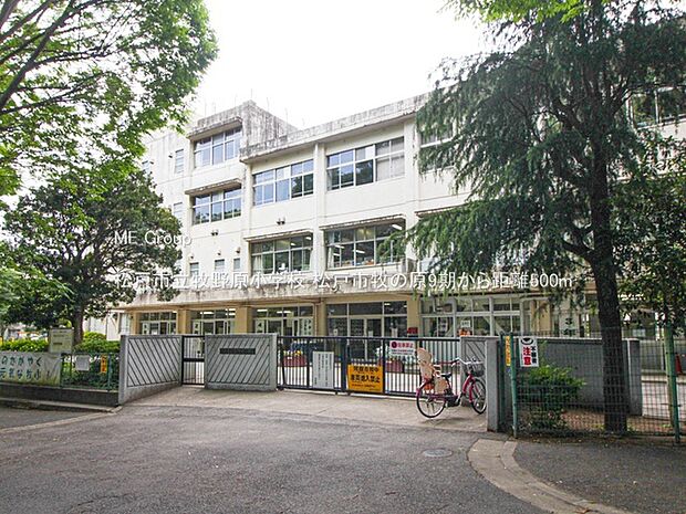 松戸市立牧野原小学校(約500m)