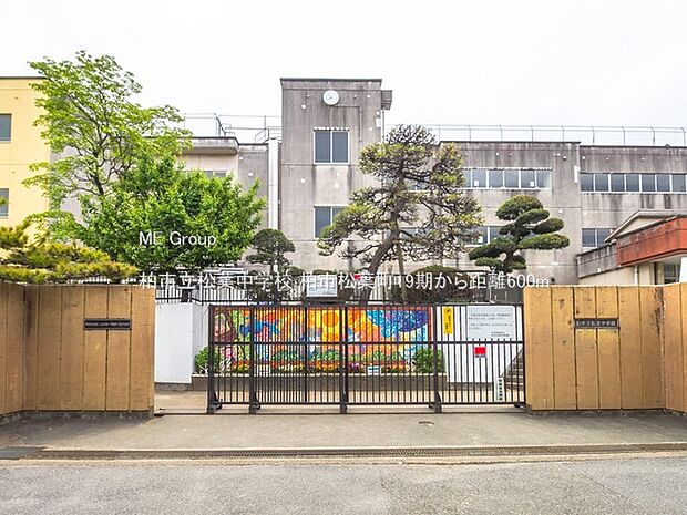 柏市立松葉中学校（約600m）