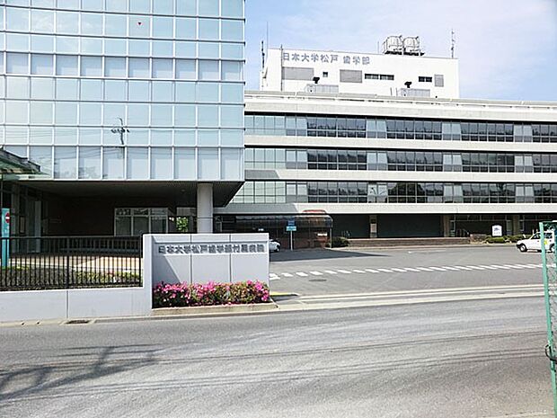 日本大学松戸歯学部付属病院(約100m)