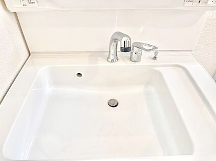 その他設備(ハンドシャワー水栓)