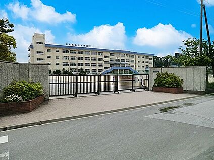 市川市立下貝塚中学校 750m