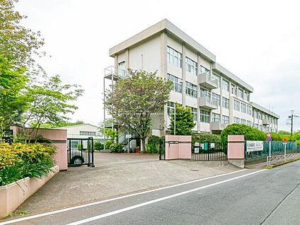 八王子市立ひよどり山中学校 1800m(徒歩23分)