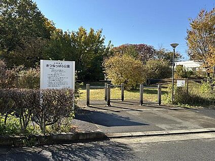 きつねっぱら公園 700ｍ(徒歩9分)
