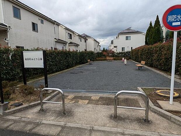 楢原町みどり公園（約500m）