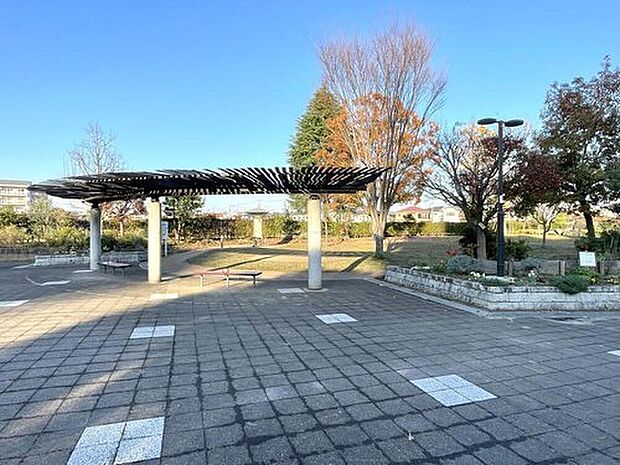 向原中央公園（約1,100m）