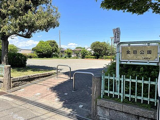 金田公園(約350m)