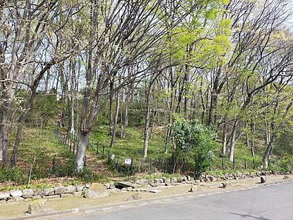黒川清流公園 1700m(徒歩22分/自転車7分)