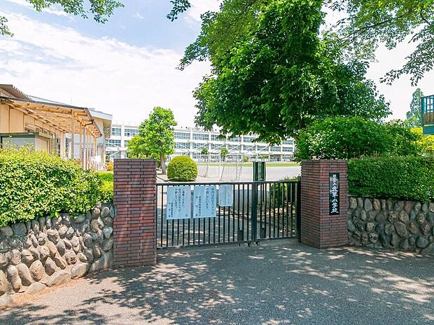 昭島市立光華小学校（約40m）