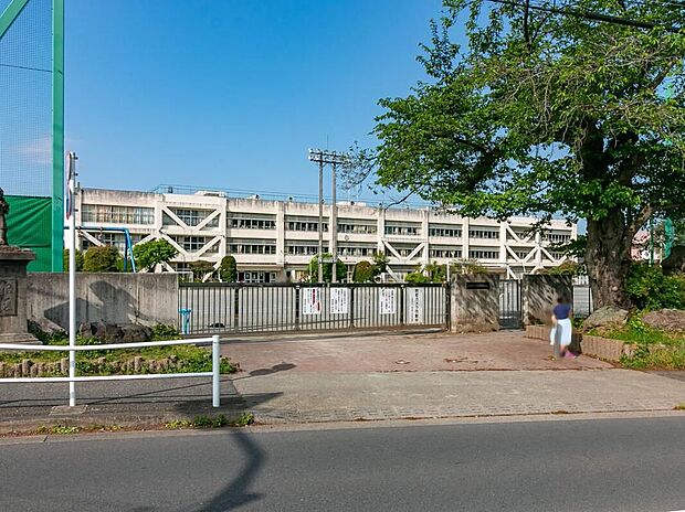 あきる野市立西秋留小学校(約700m)