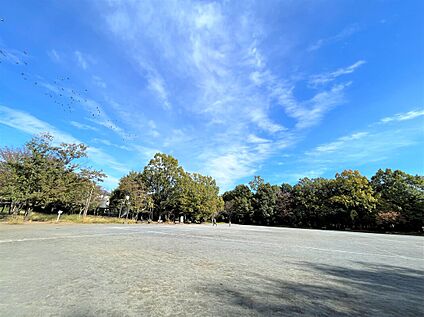 県立東高根森林公園 550ｍ(徒歩8分)