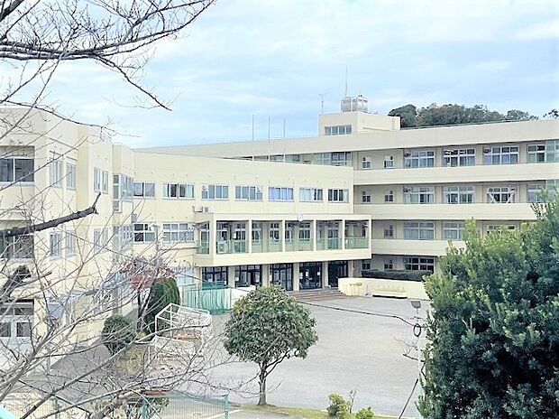 真光寺中学校(約500m)