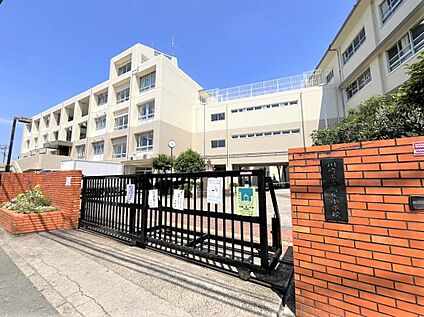 向丘中学校 450ｍ(徒歩6分)