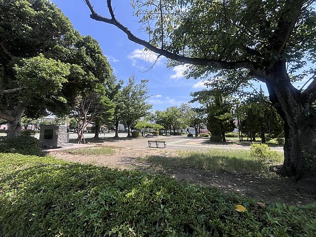 成瀬台公園(約230m)