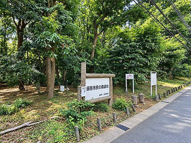 藤原市民の森（約690m）