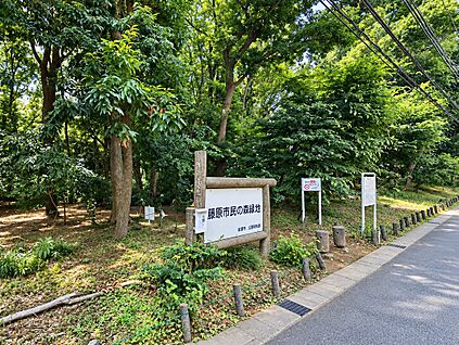 藤原市民の森 690m