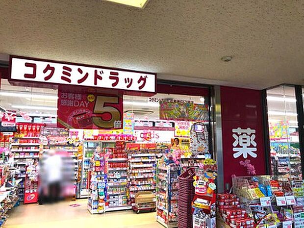 コクミンドラッグ近鉄新田辺駅店