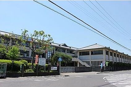 近江八幡市立八幡中学校 徒歩500m