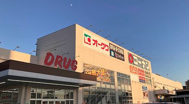 オークワ 和歌山中之島店