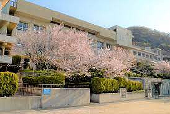 柏原市立堅下南中学校