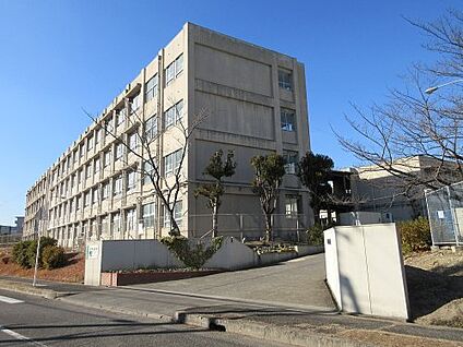 堺市立晴美台中学校 徒歩1300m