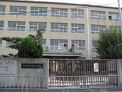 松原市立天美南小学校 徒歩800m