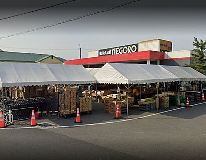 有限会社スーパーネゴロ打田店 徒歩1630m