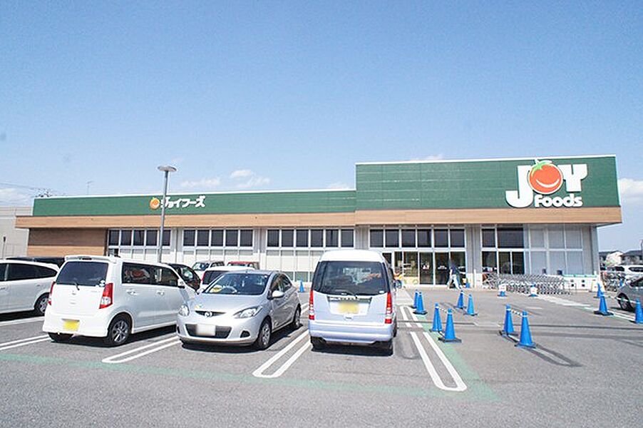 【買い物】ジョイフーズ 野田山崎店