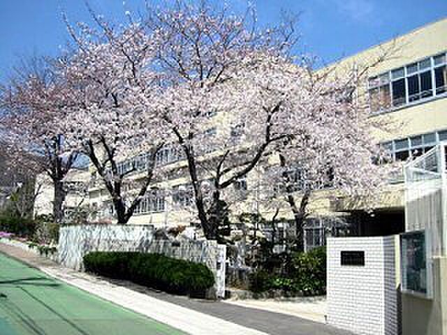 【学校】神戸市立五位の池小学校