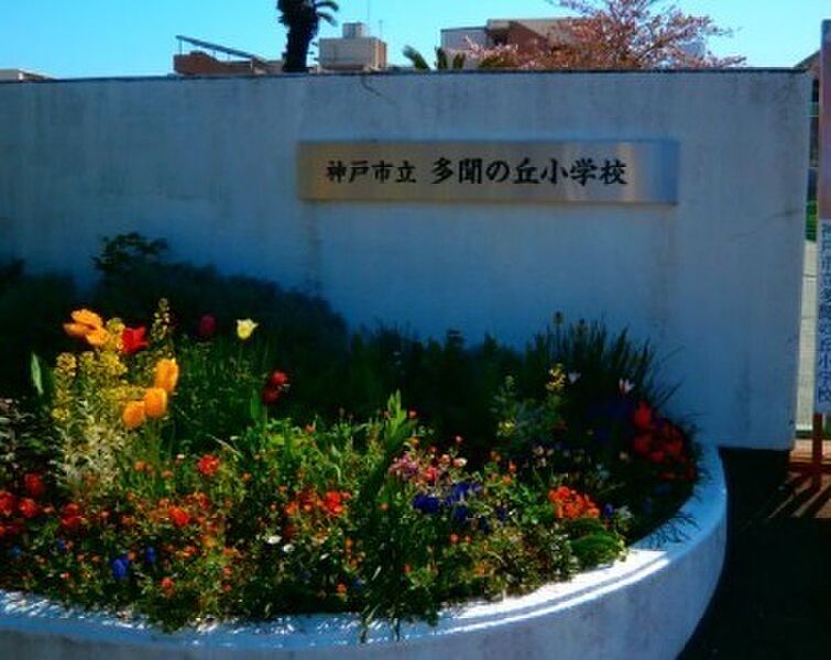 【学校】神戸市立多聞の丘小学校