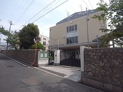 神戸市立住吉中学校 徒歩1700m