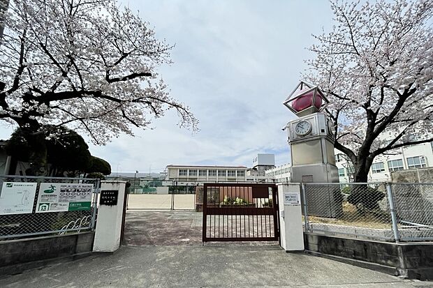 大磯小学校まで約50~90m 徒歩1~2分