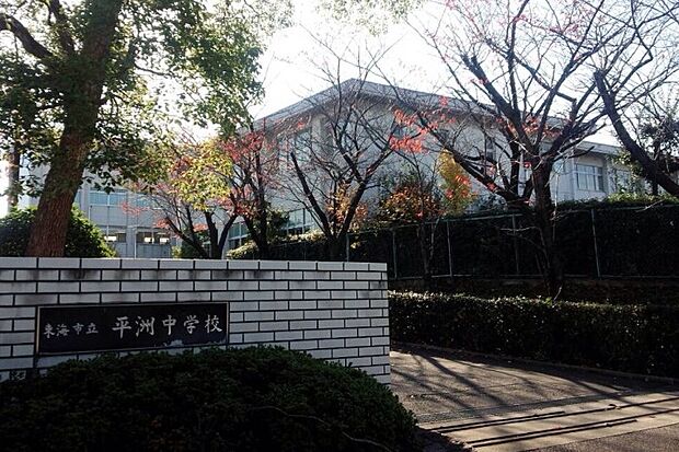 平洲中学校　（約700m）