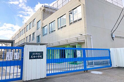 天白小学校 約1,000～1,020ｍ(徒歩13分)