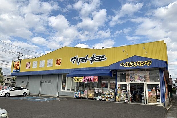 マツモトキヨシ（敷島店）（約350m）