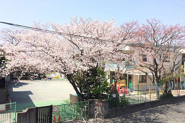 若葉幼稚園