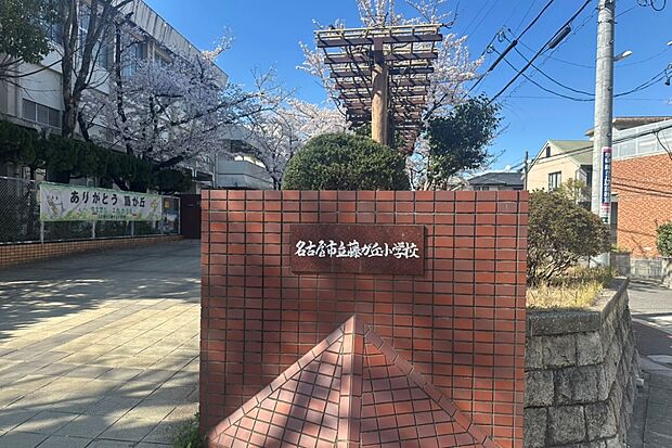 藤が丘小学校(約750m)