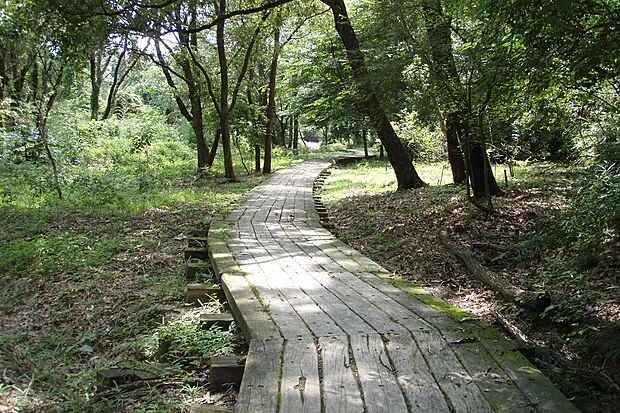 猪高緑地（約180m）