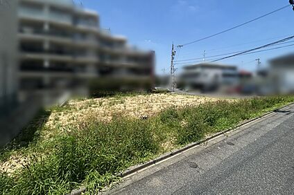 【現地写真】