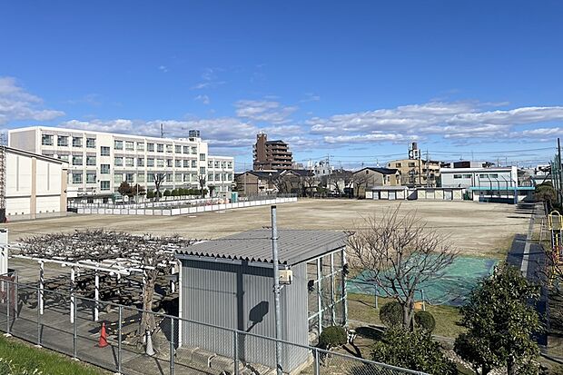 万場小学校(約500m)
