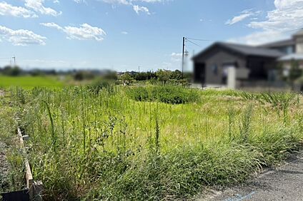 Photo/現地