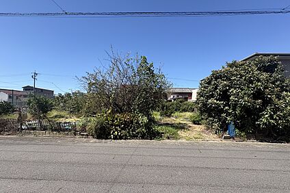 現地土地