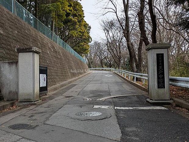 千葉市立天戸中学校（約1,800m）