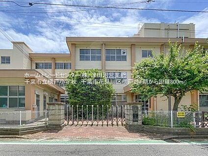 千葉市立横戸小学校 800m( 徒歩10分)